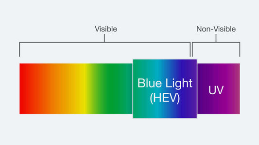 What's the Visible Light and Invisible Light?